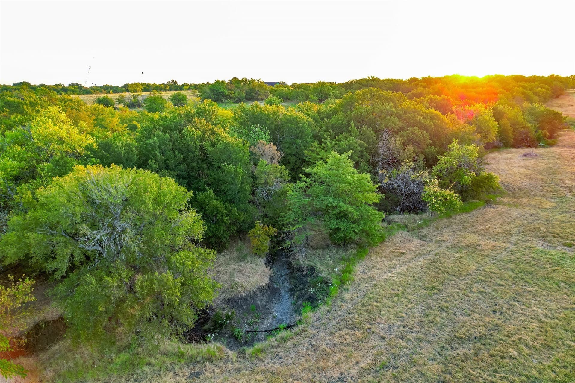 12.94 acres in Collin County - photo 11