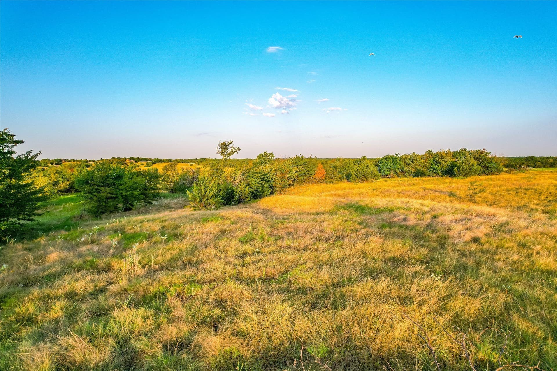 12.94 acres in Collin County - photo 24
