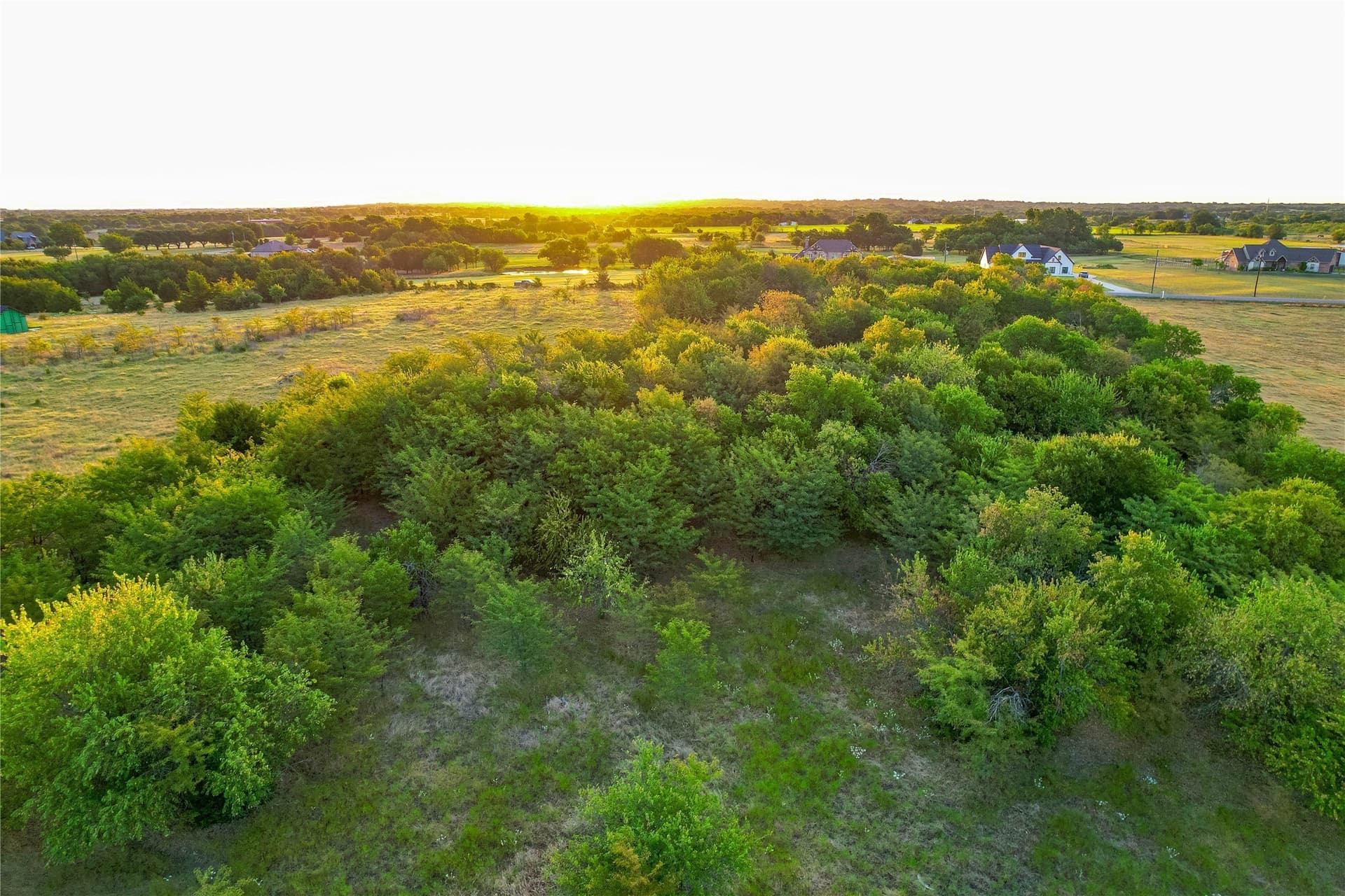 12.94 acres in Collin County - photo 12