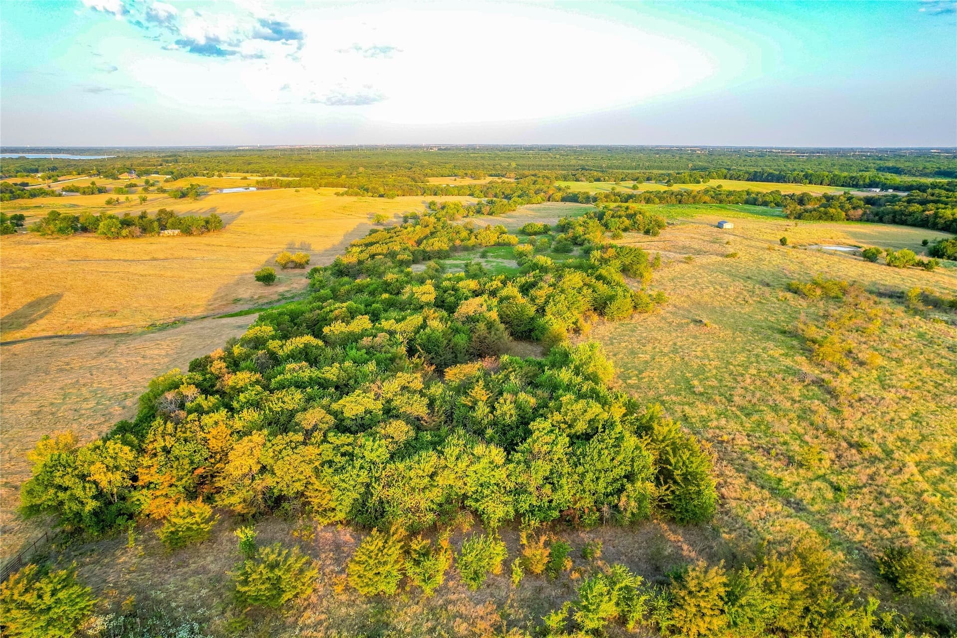 12.94 acres in Collin County - photo 18
