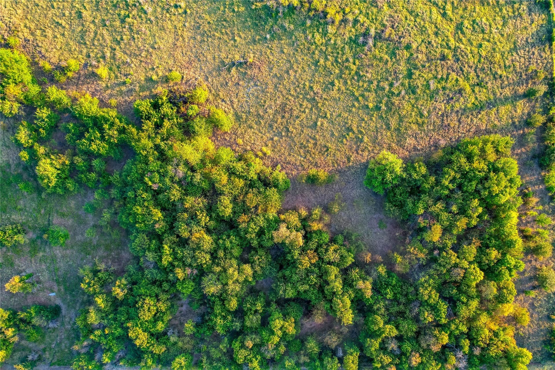 12.94 acres in Collin County - photo 31
