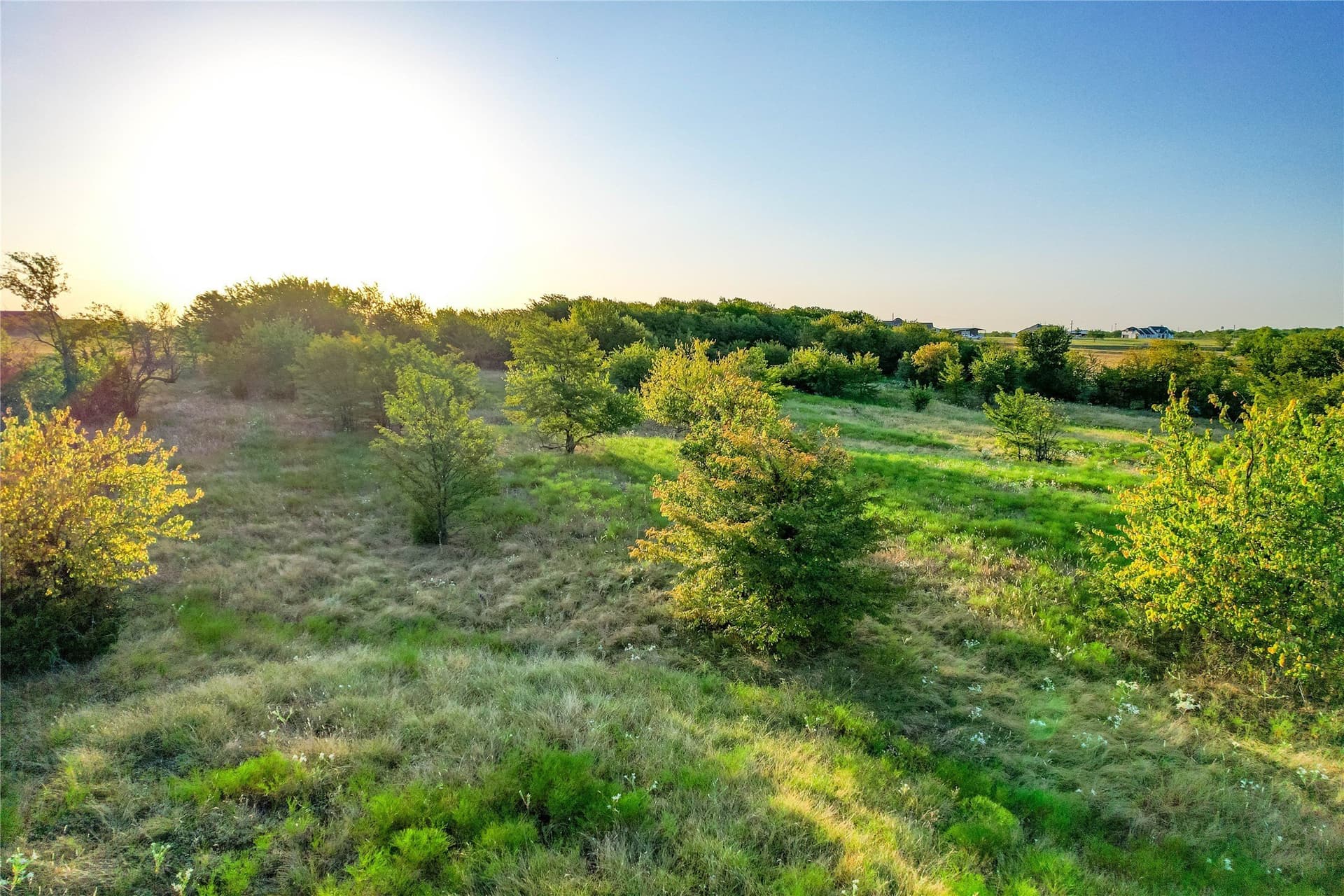 12.94 acres in Collin County - photo 33