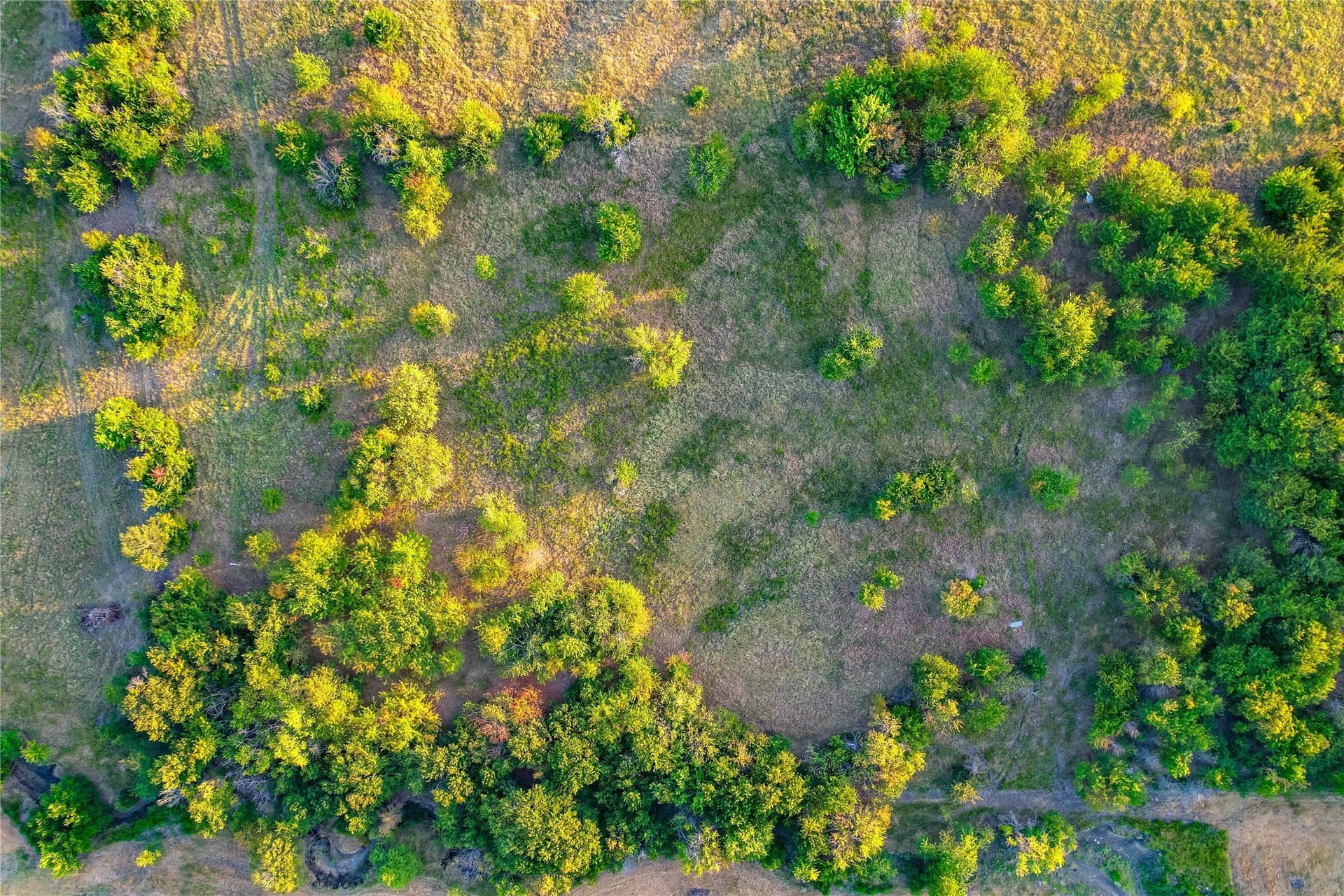 12.94 acres in Collin County - photo 30