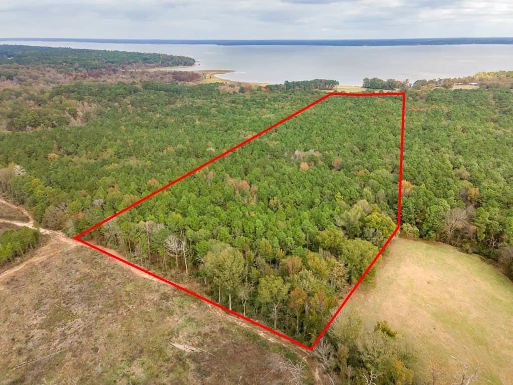 29.17 acres in Texas County featured view
