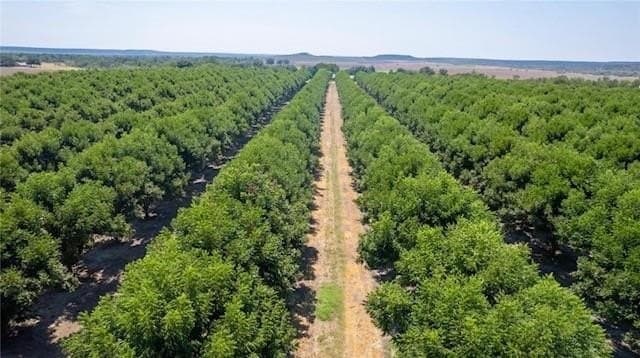 147 acres in San Saba County - photo 40