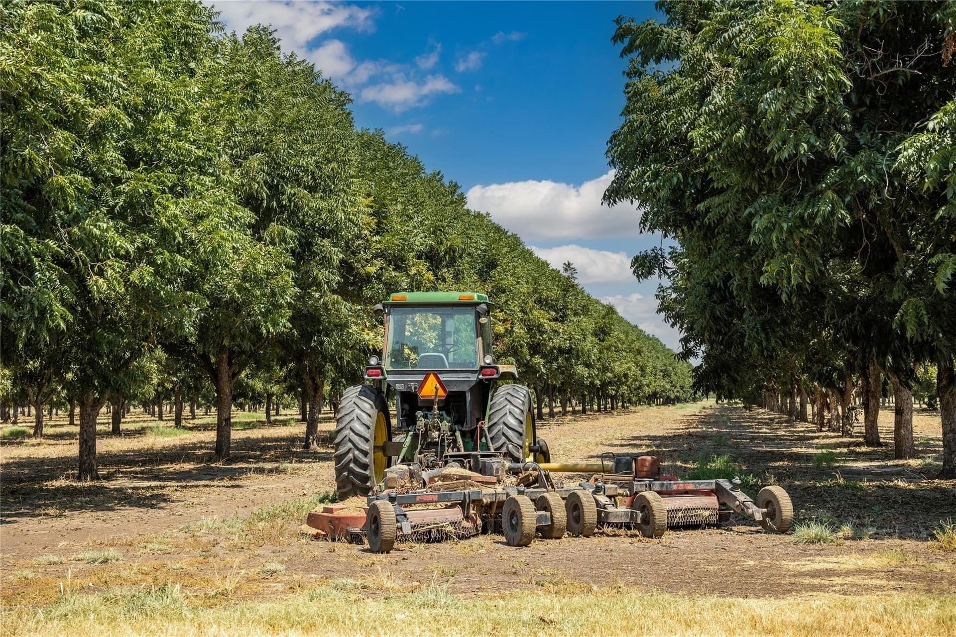 147 acres in San Saba County - photo 4