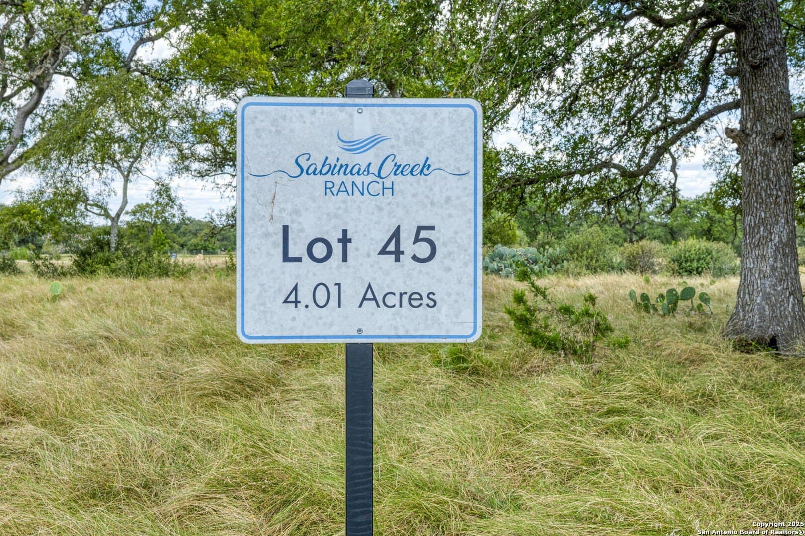 4.01 acres in Kendall County gallery image 2