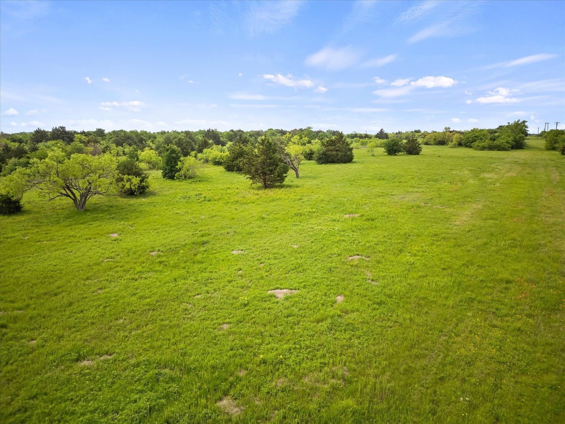 2.5 acres in Kaufman County - photo 8
