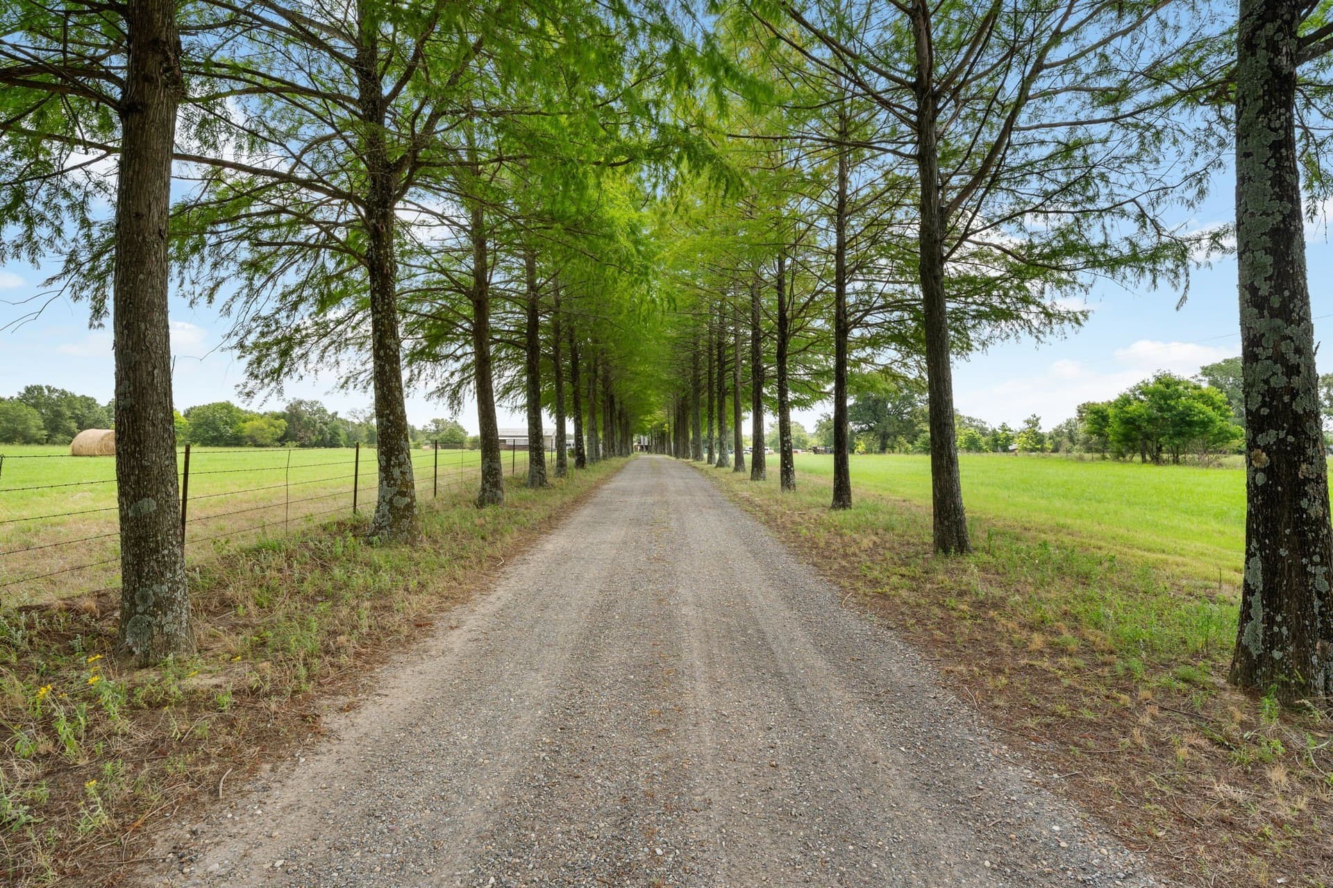 34.05 acres in Henderson County - photo 12