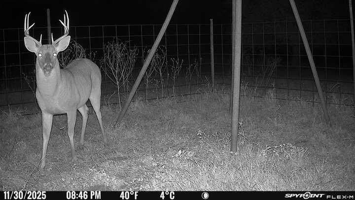 34.05 acres in Henderson County - photo 40