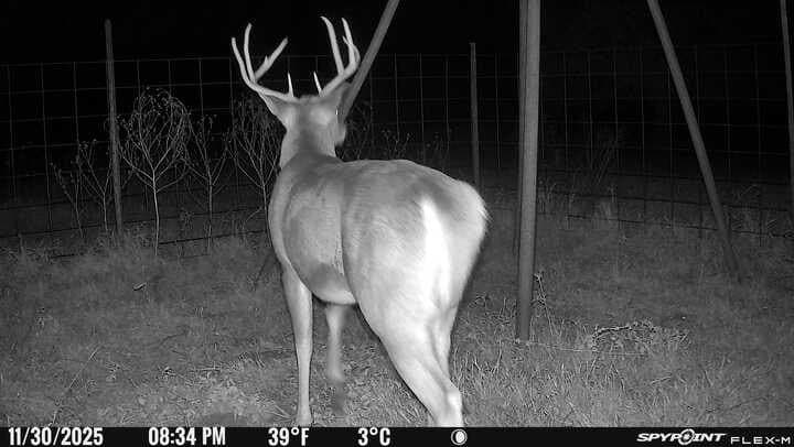 34.05 acres in Henderson County - photo 39