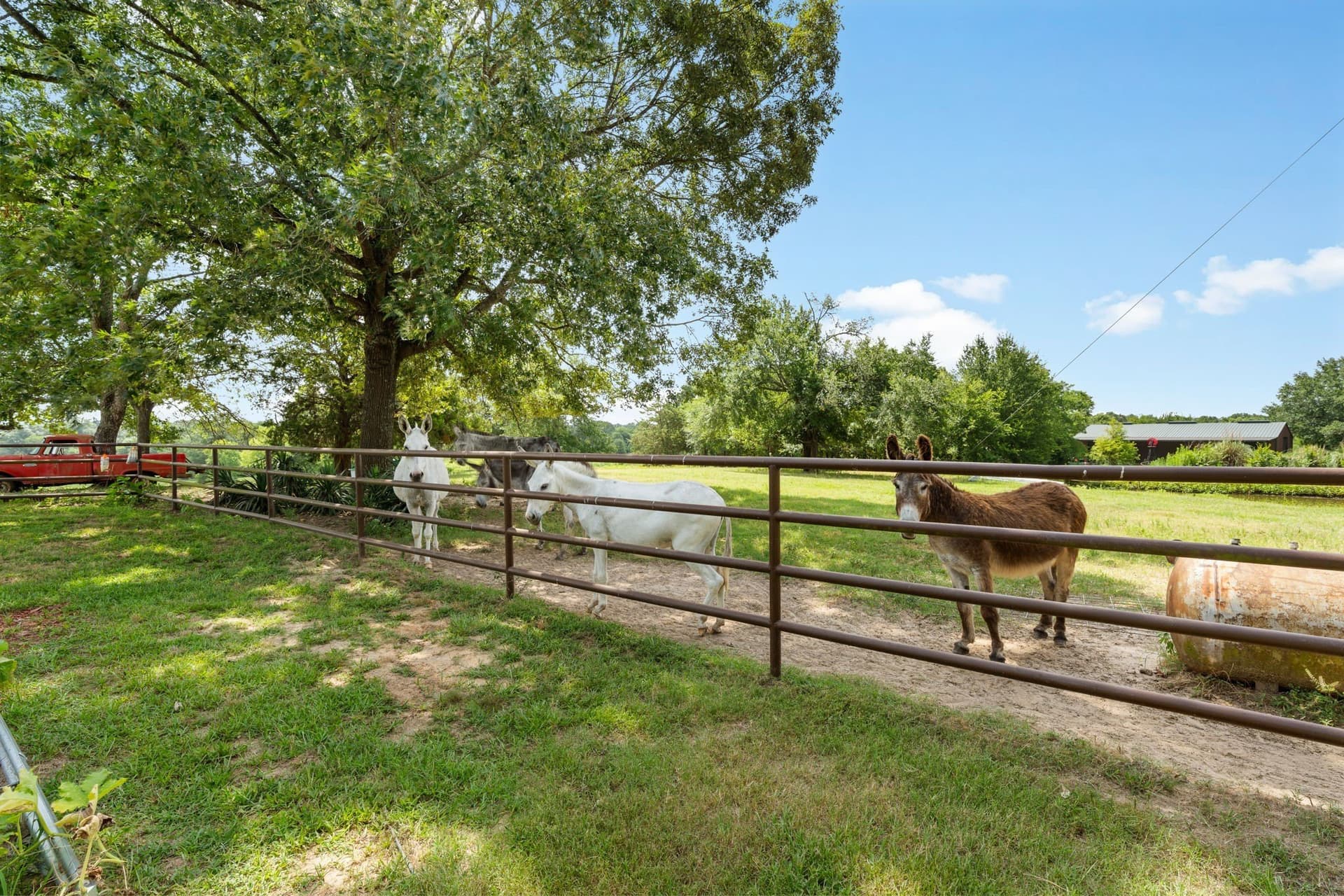 34.05 acres in Henderson County - photo 14