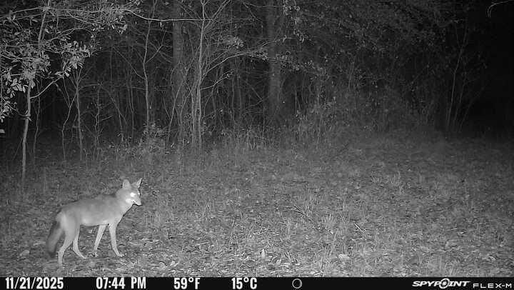 34.05 acres in Henderson County - photo 38