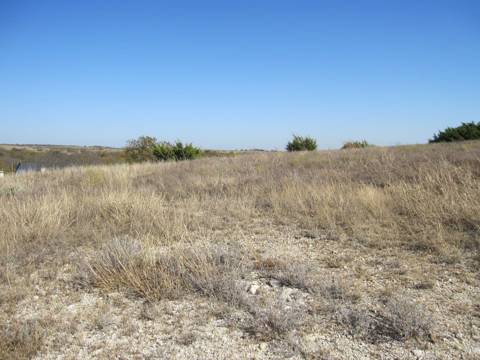 4 acres in Parker County - photo 12