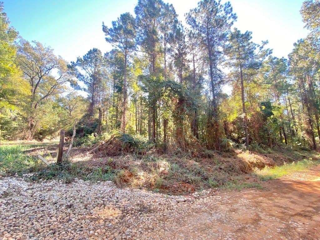 23.31 acres in Texas County - photo 23