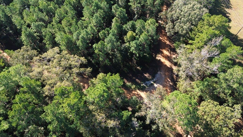 23.31 acres in Texas County - photo 15