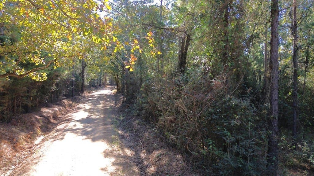 23.31 acres in Texas County - photo 24