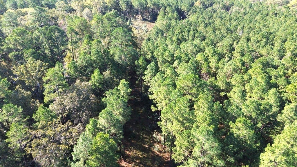23.31 acres in Texas County - photo 17