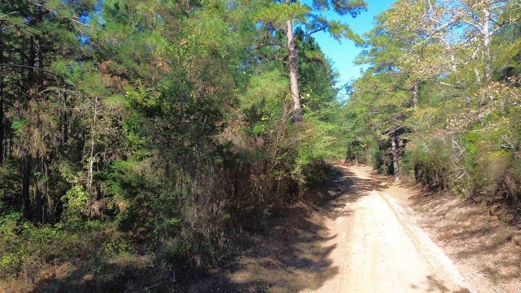 23.31 acres in Texas County - photo 25