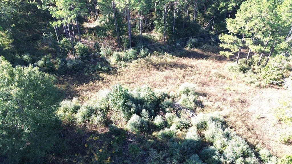23.31 acres in Texas County - photo 13