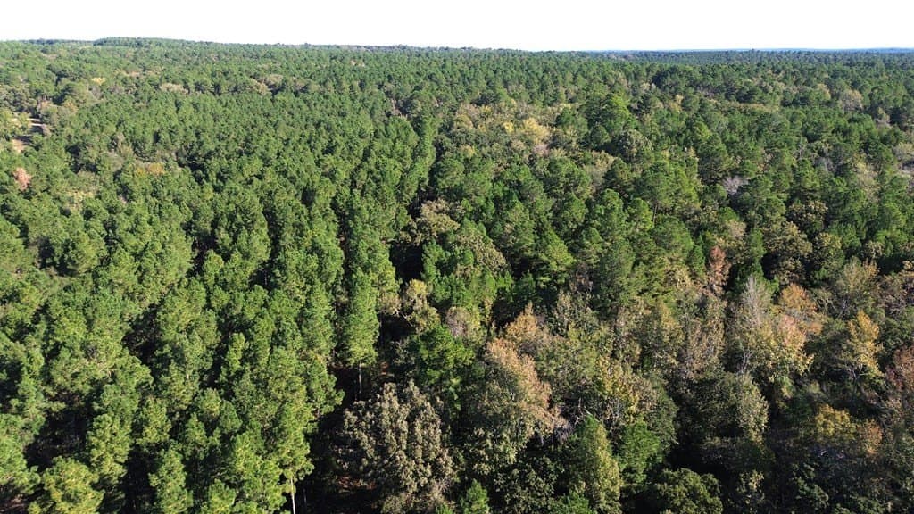 23.31 acres in Texas County - photo 12