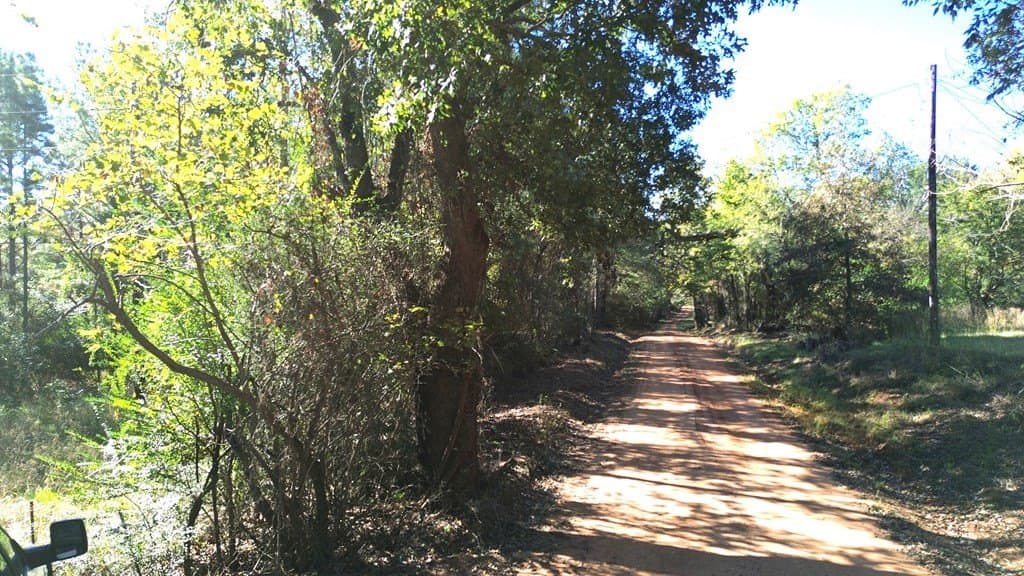 23.31 acres in Texas County - photo 19