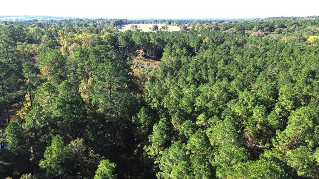 23.31 acres in Texas County - photo 8