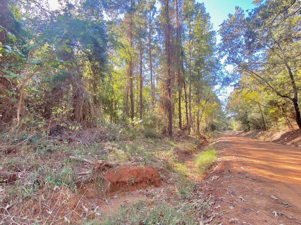 23.31 acres in Texas County - photo 22