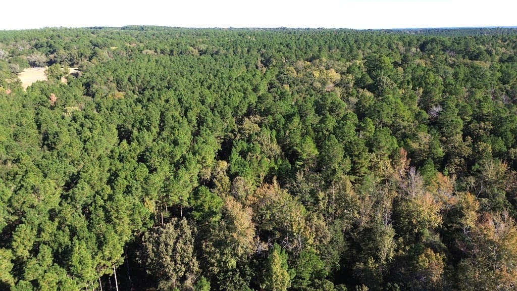 23.31 acres in Texas County - photo 11
