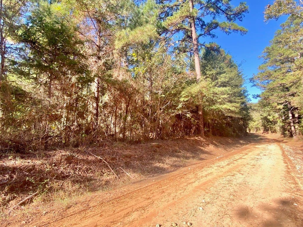 23.31 acres in Texas County - photo 21