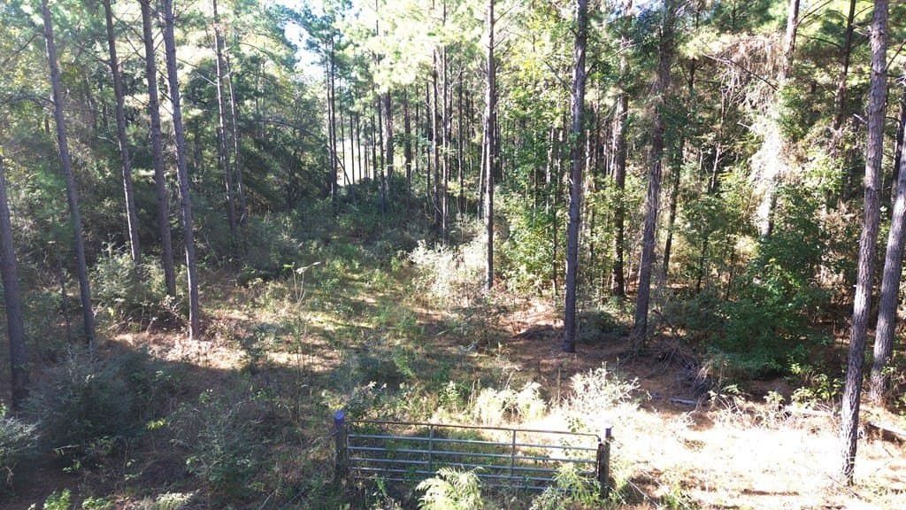 23.31 acres in Texas County - photo 18