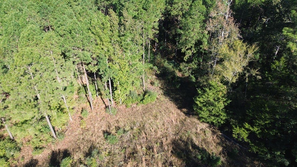 23.31 acres in Texas County - photo 14