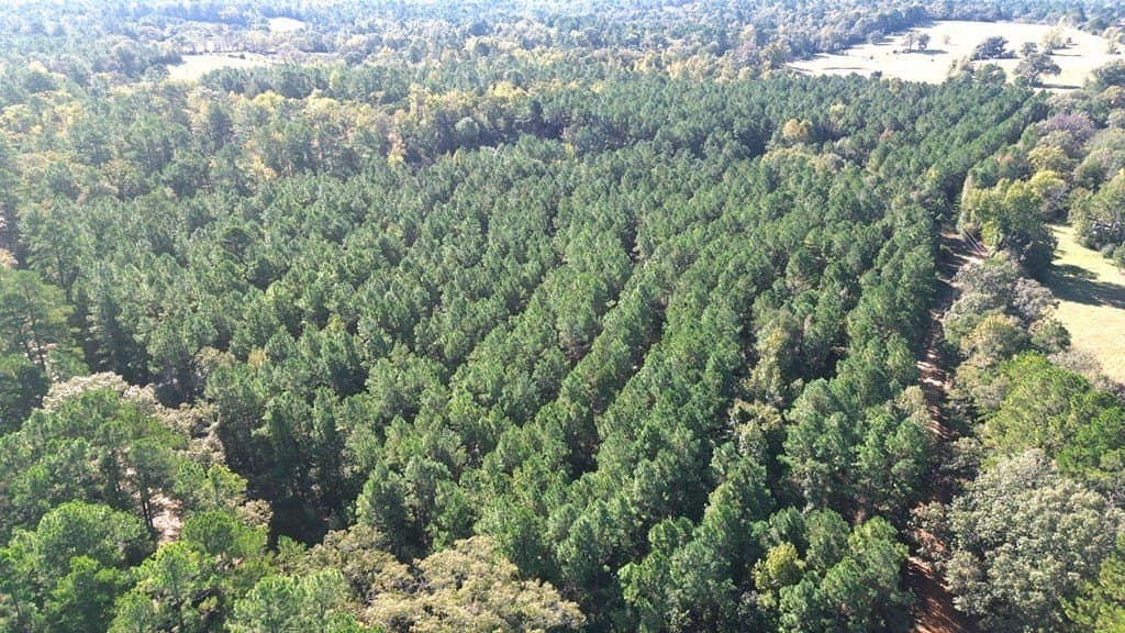 23.31 acres in Texas County - photo 16