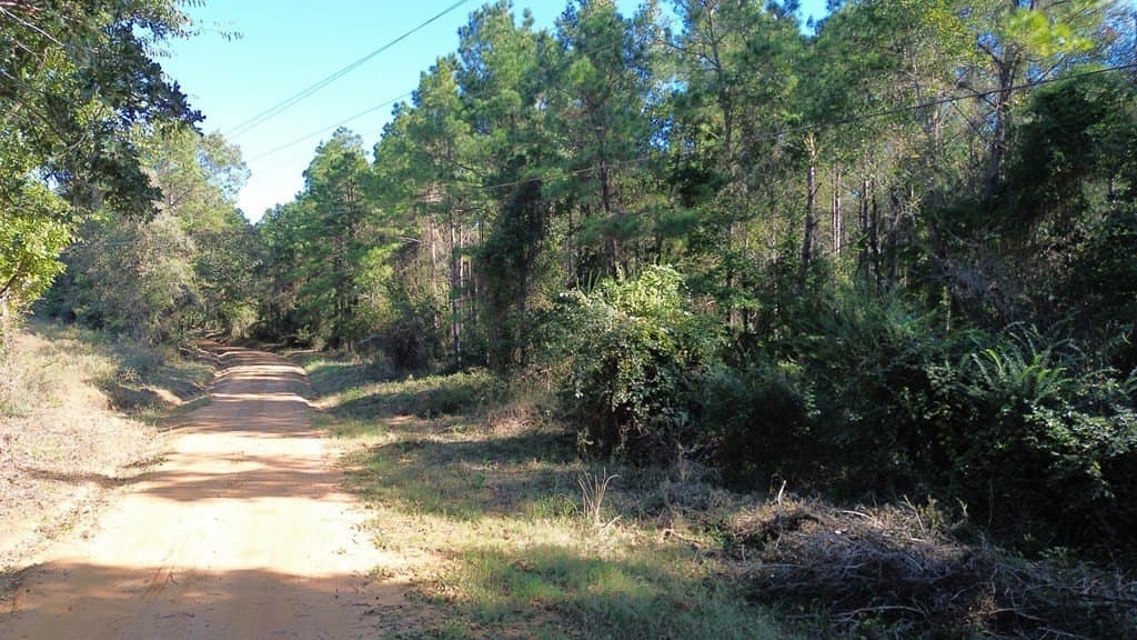 23.31 acres in Texas County - photo 20