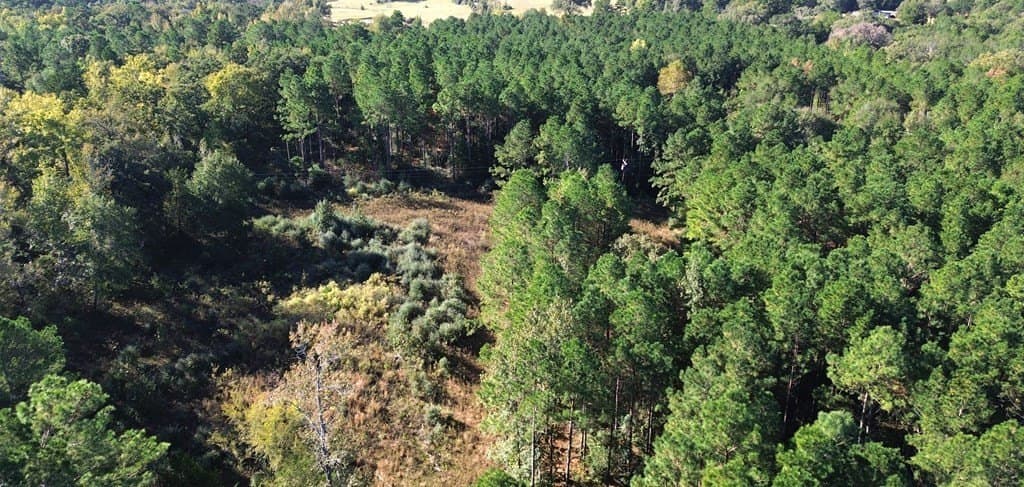 23.31 acres in Texas County - photo 9
