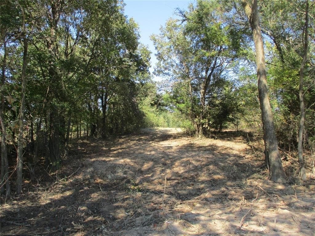 10.8 acres in Rains County gallery image 4