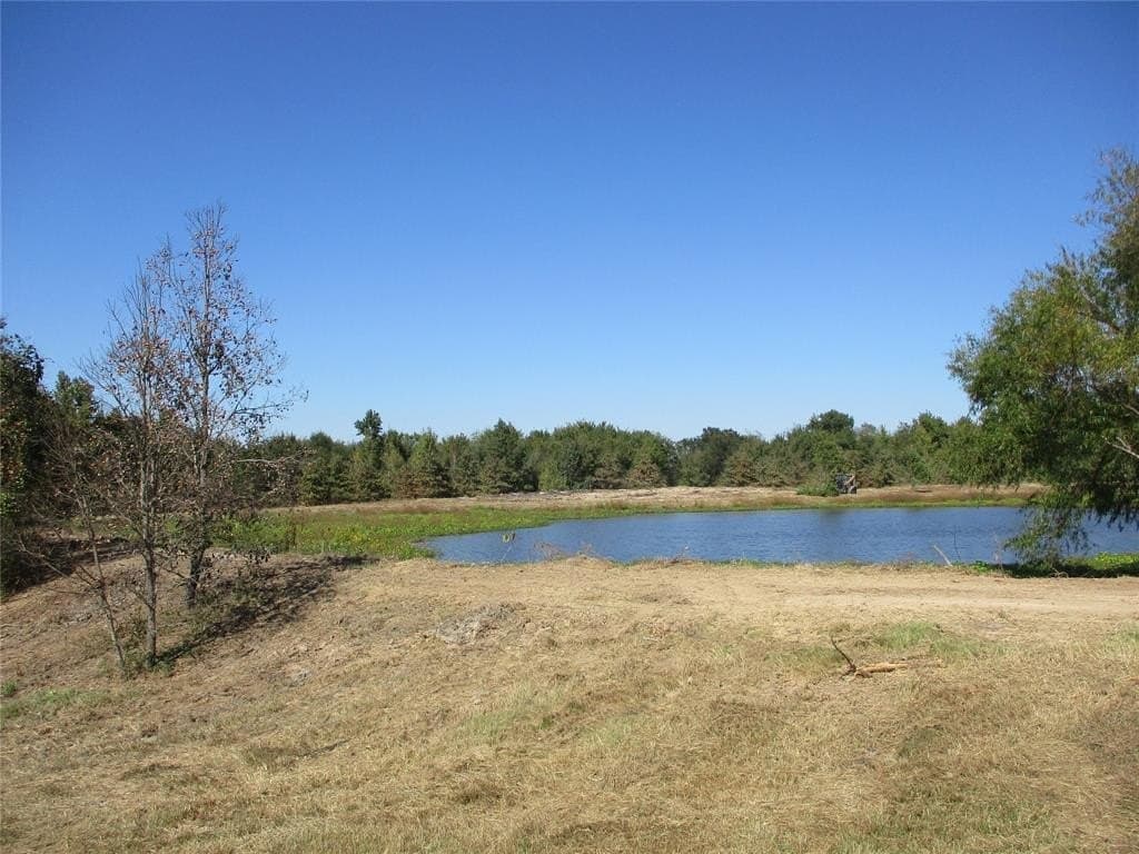 10.8 acres in Rains County