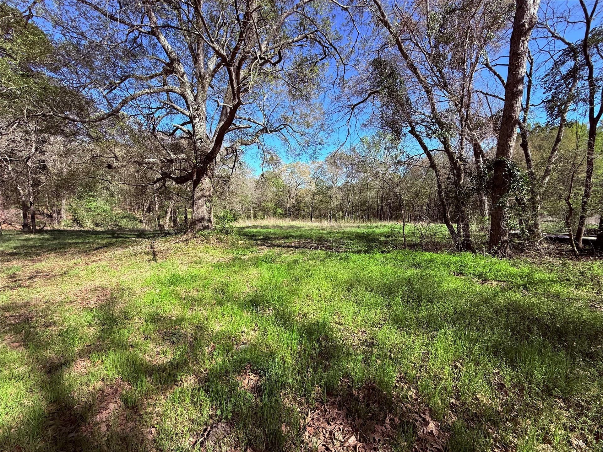 22.06 acres in Wood County - photo 2