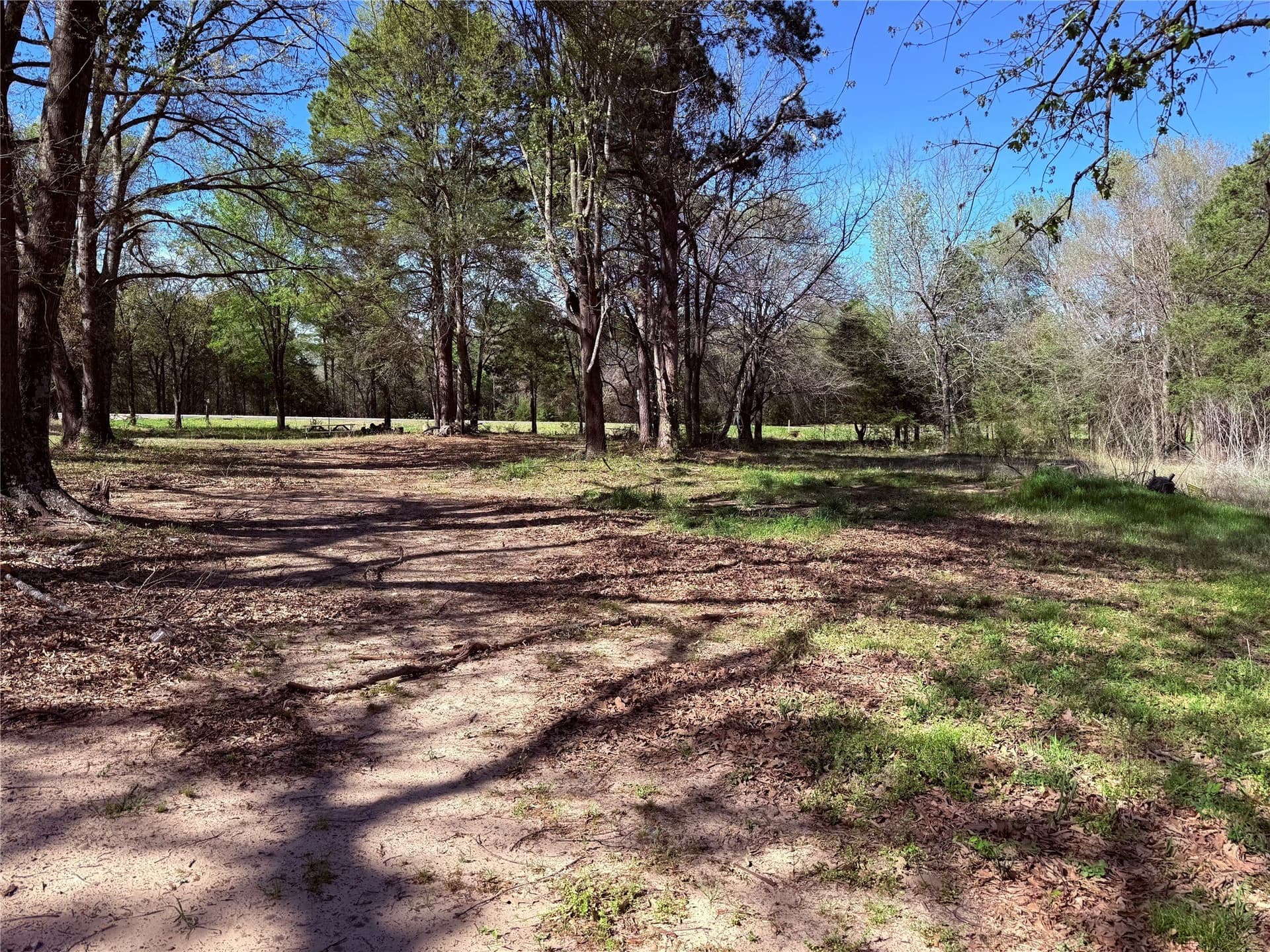 22.06 acres in Wood County - photo 3