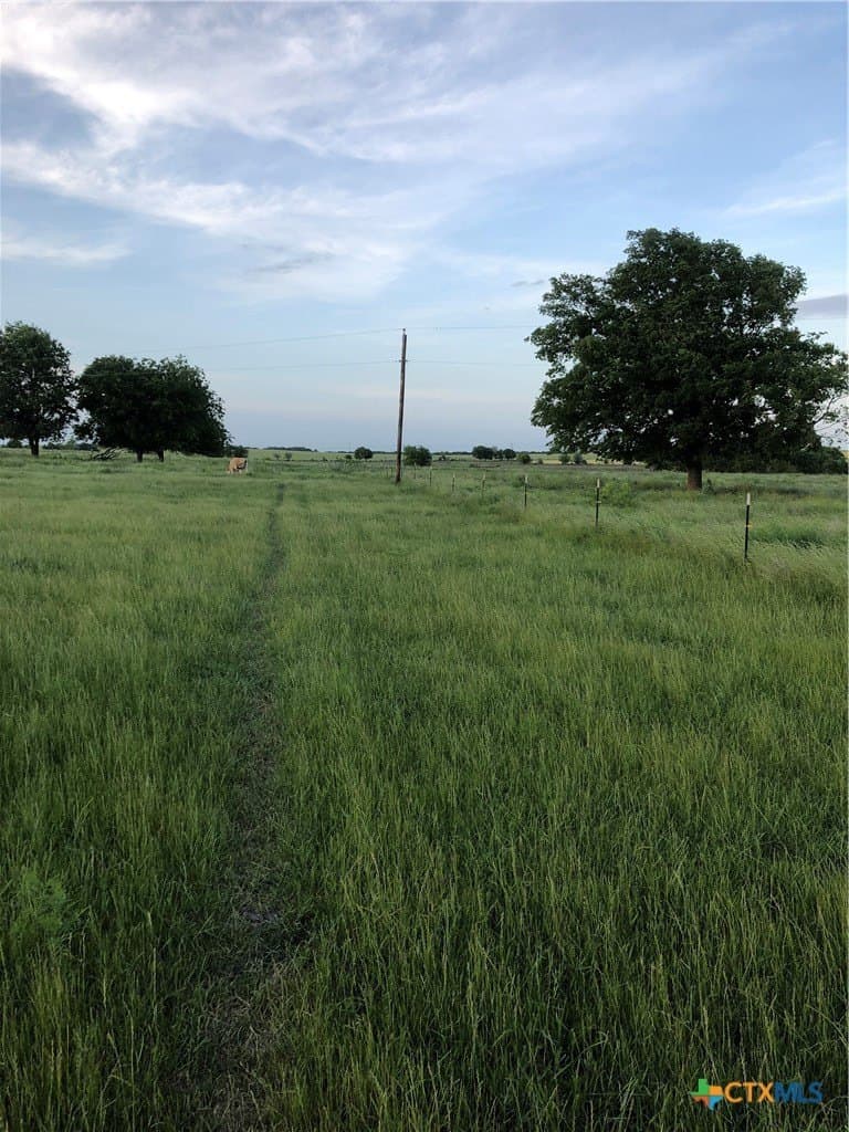 26.42 acres in Bell County - photo 40