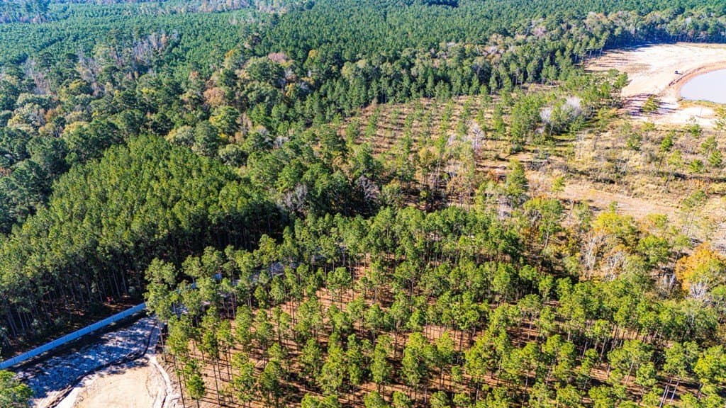 15.92 acres in Texas County gallery image 4