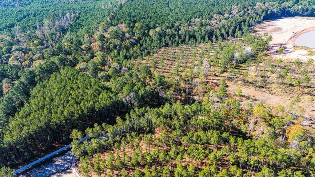 15.92 acres in Texas County featured view