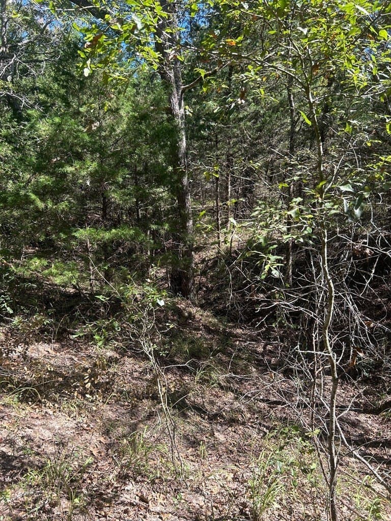 24.95 acres in HENDERSON County - photo 8