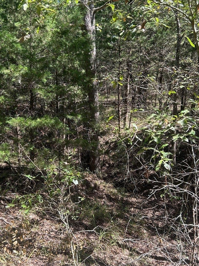 24.95 acres in HENDERSON County - photo 9