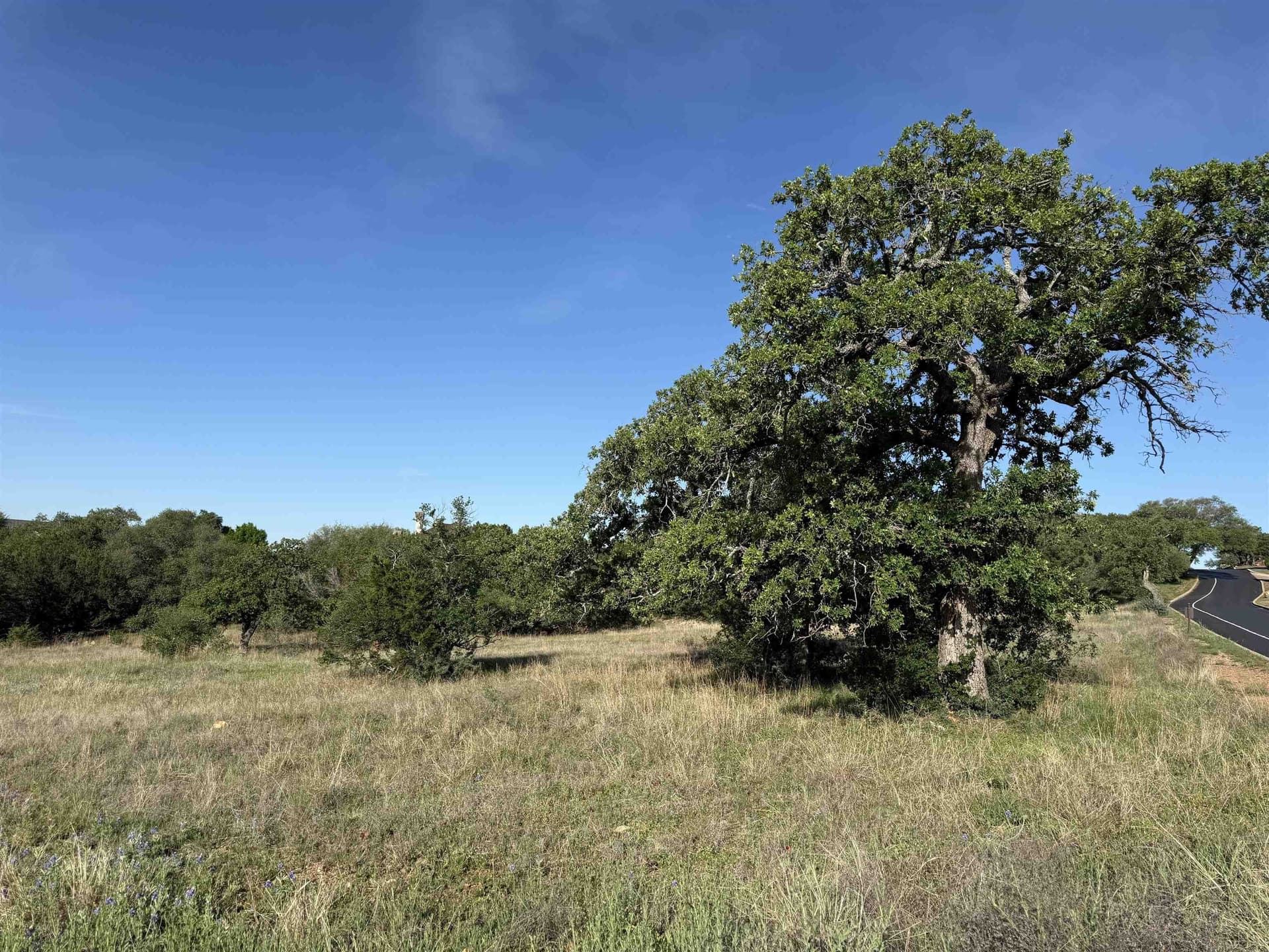 0.32 acres in Llano County gallery image 3