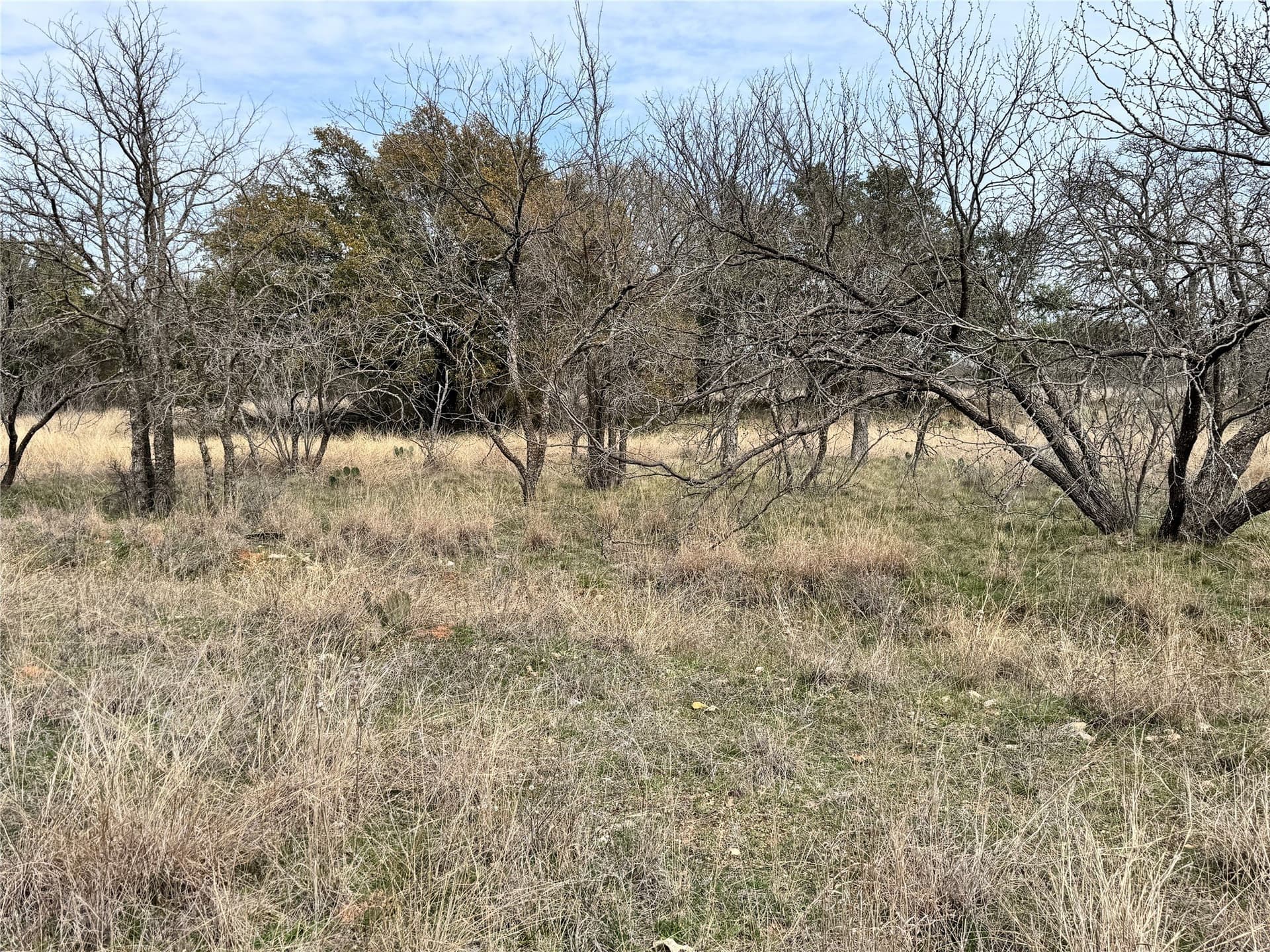 0.15 acres in Brown County - photo 9