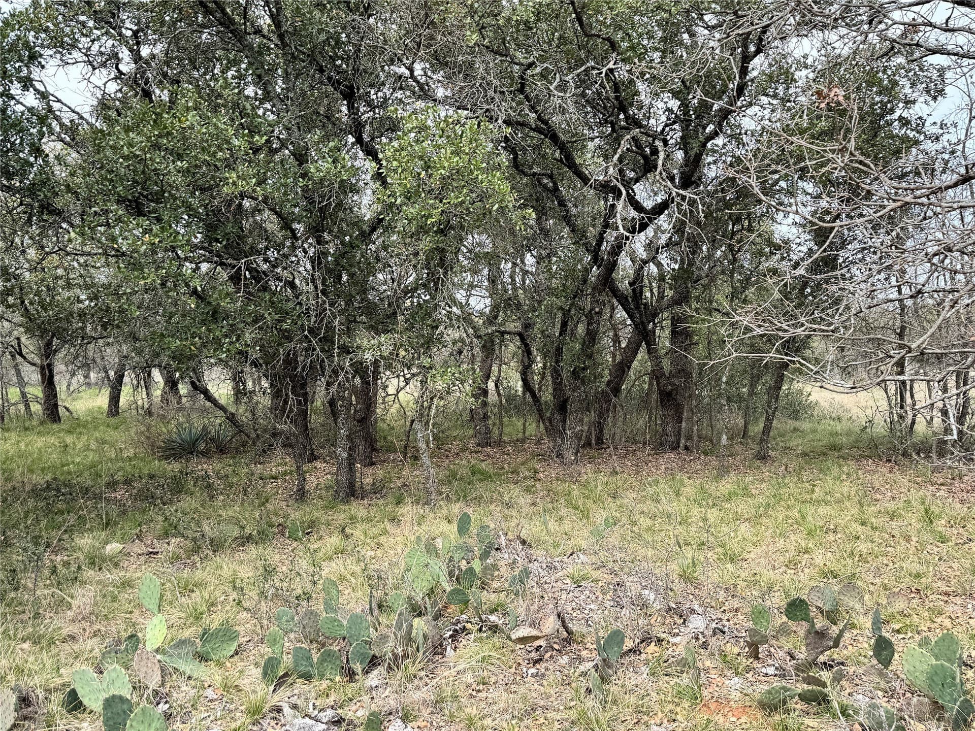 0.15 acres in Brown County - photo 12