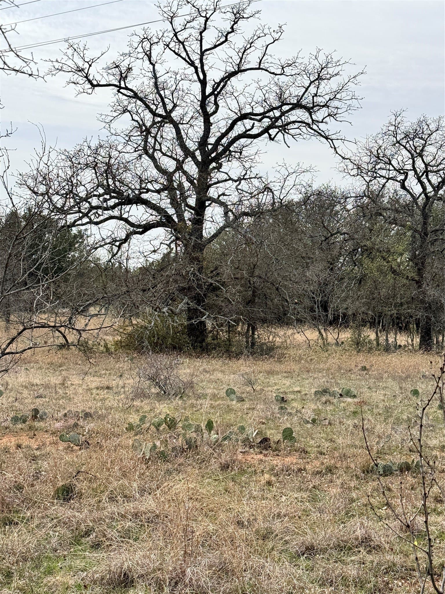 0.15 acres in Brown County - photo 14