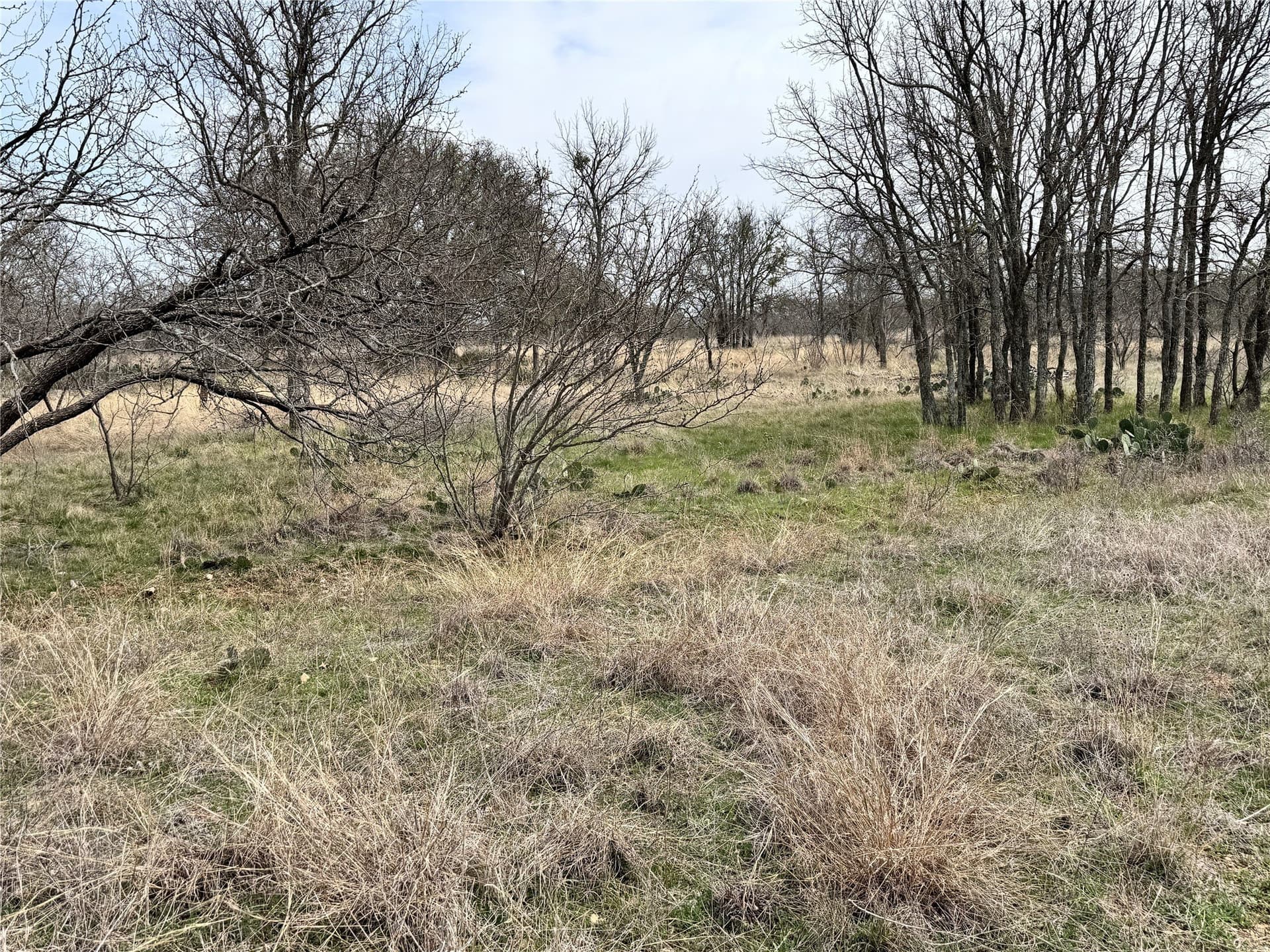 0.15 acres in Brown County - photo 8