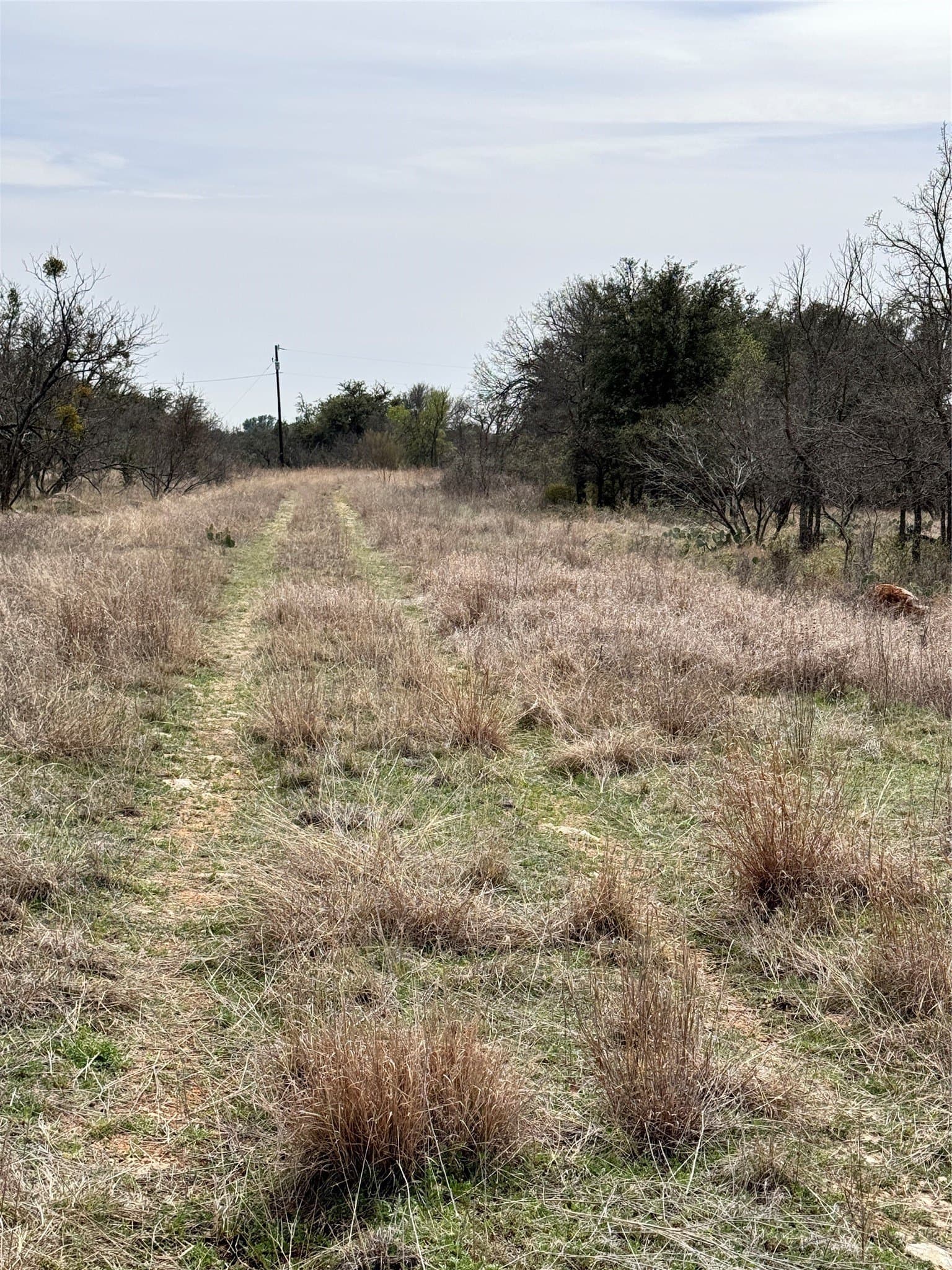 0.15 acres in Brown County gallery image 3